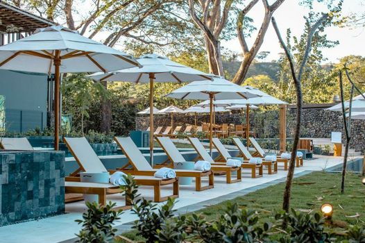 El Mangroove Papagayo, Autograph Collection