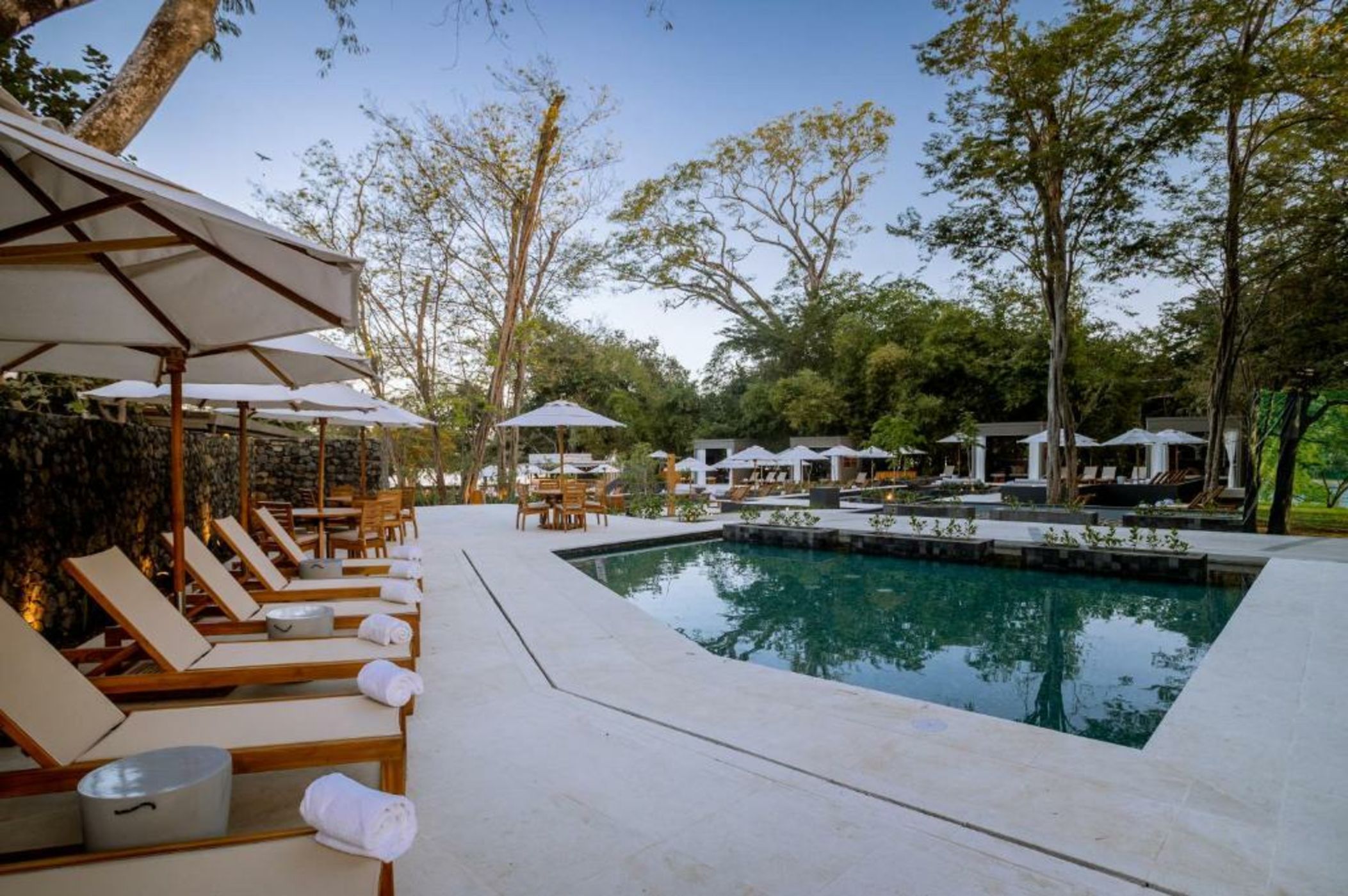 El Mangroove Papagayo, Autograph Collection