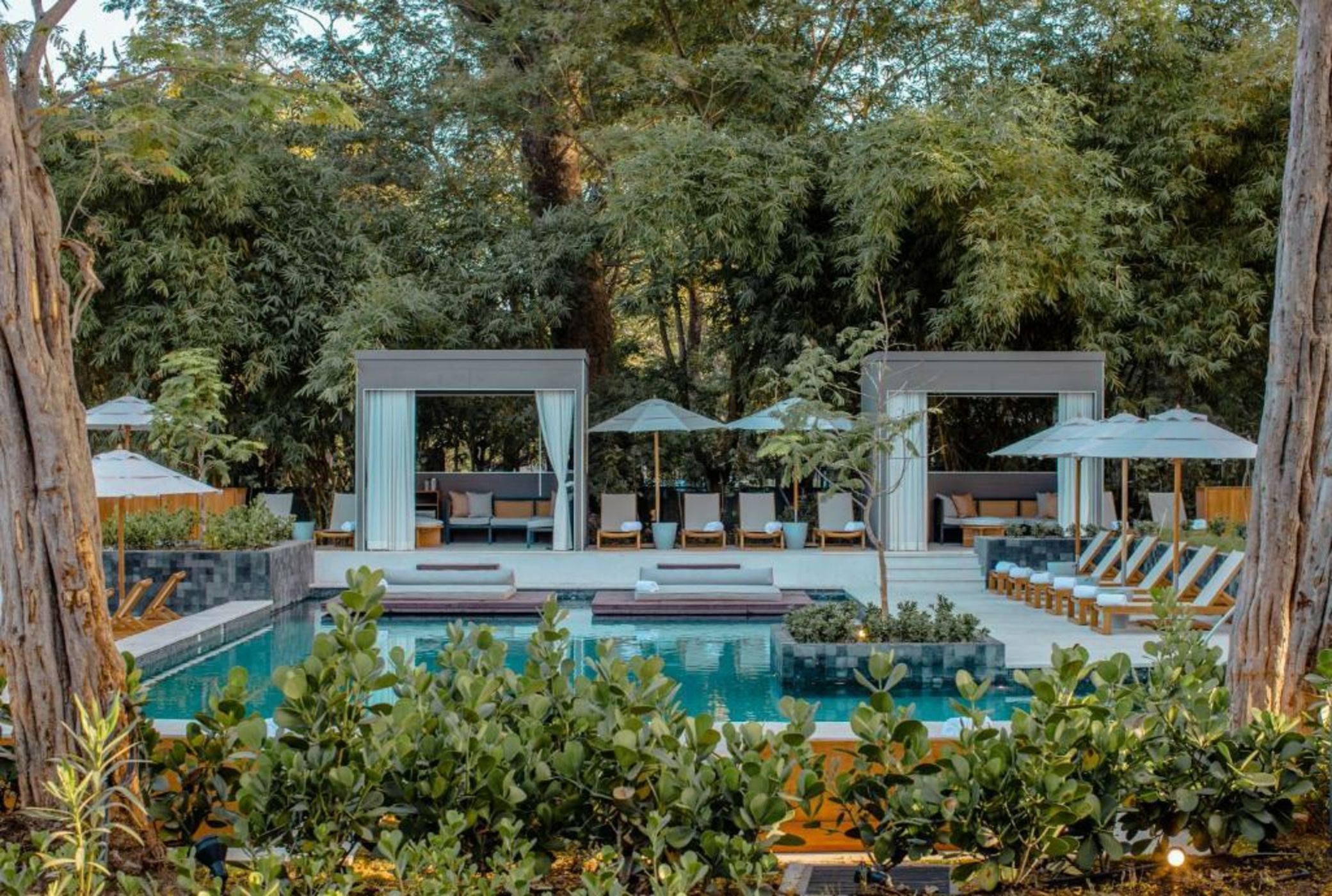 El Mangroove Papagayo, Autograph Collection