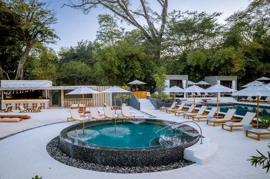 El Mangroove Papagayo, Autograph Collection
