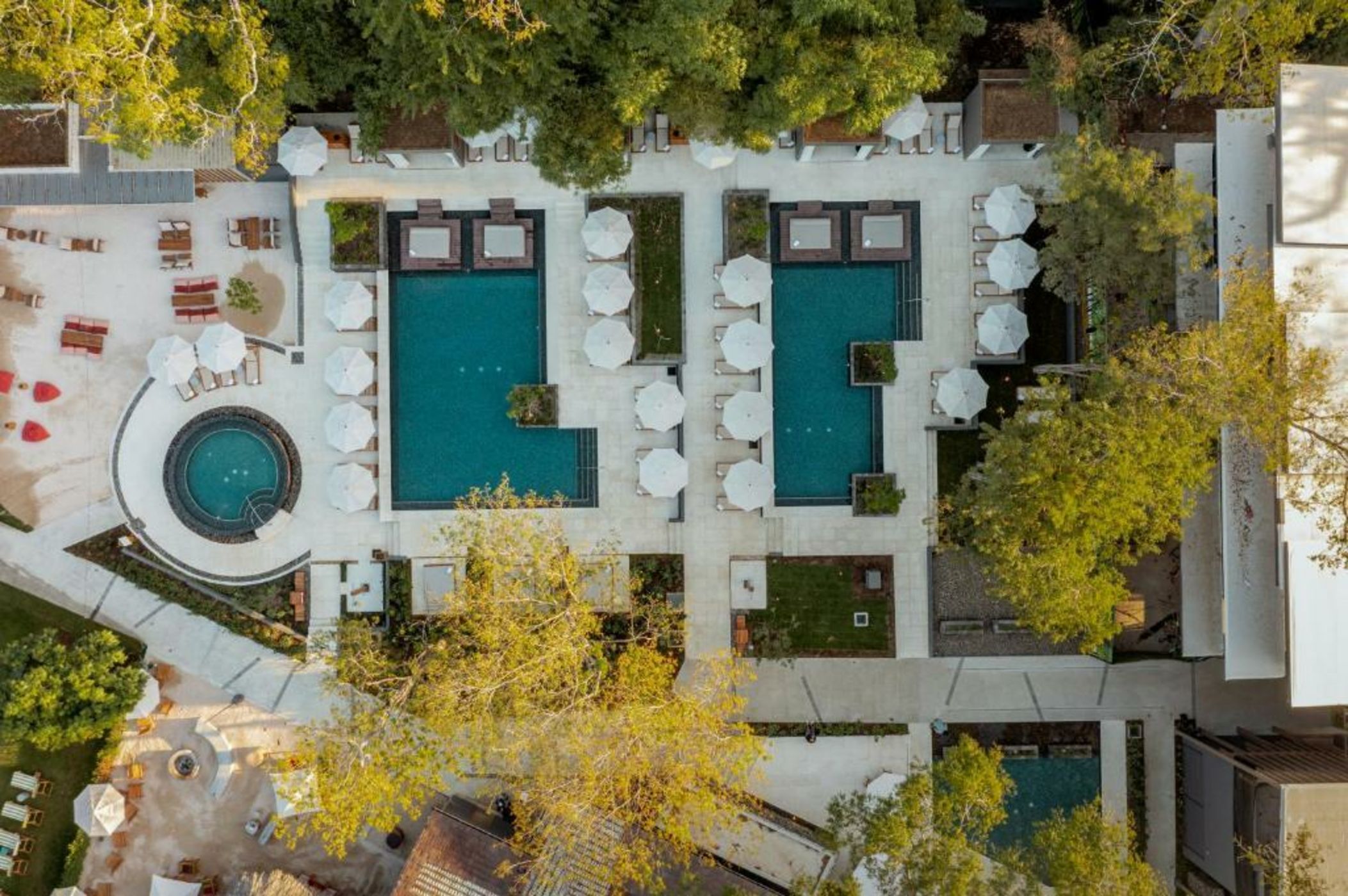 El Mangroove Papagayo, Autograph Collection