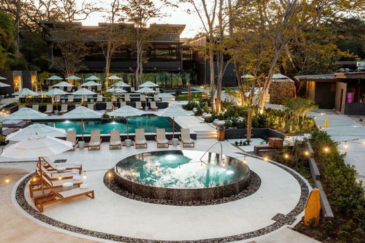 El Mangroove Papagayo, Autograph Collection