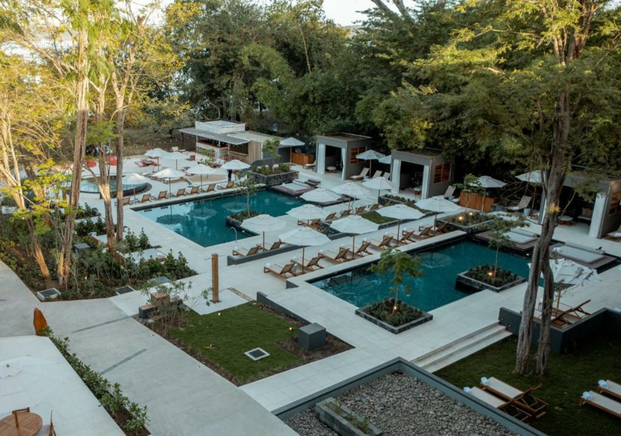 El Mangroove Papagayo, Autograph Collection