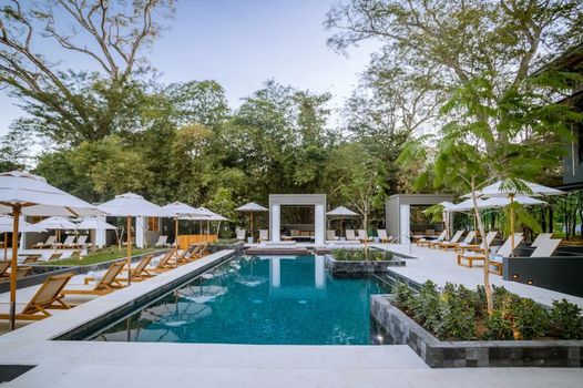 El Mangroove Papagayo, Autograph Collection