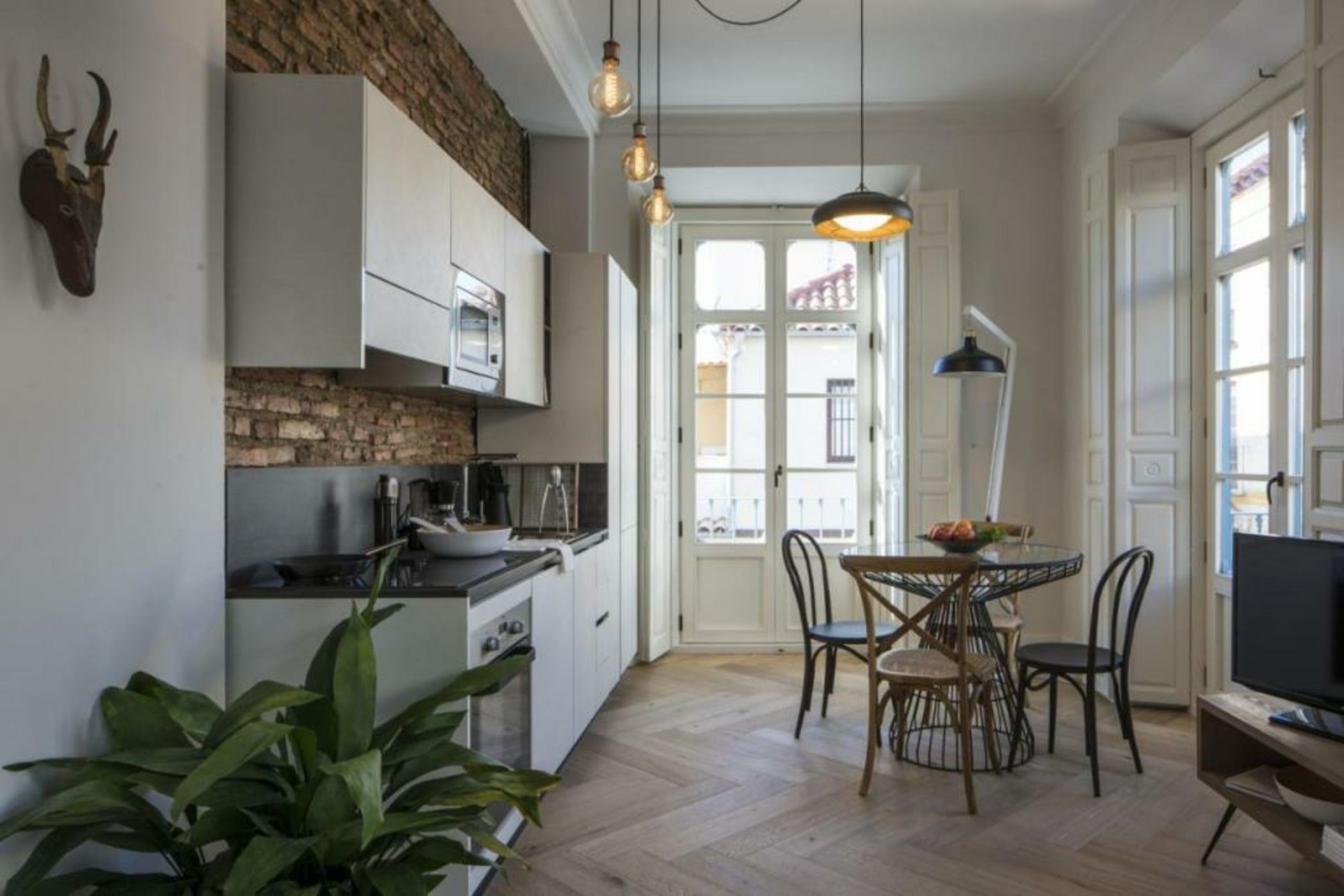 Nomeolvides Malagaflat