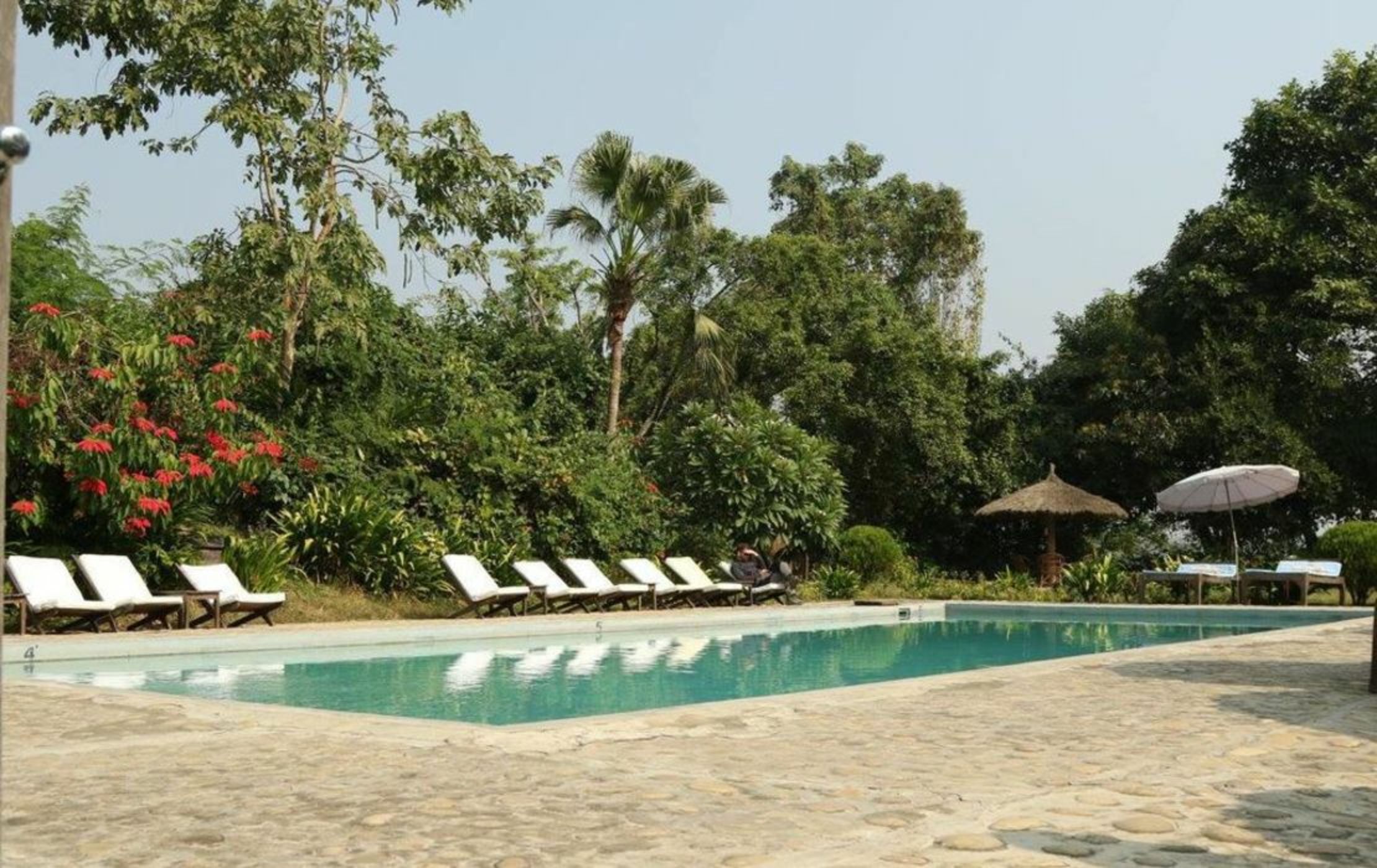 Tiger Tops Tharu Lodge