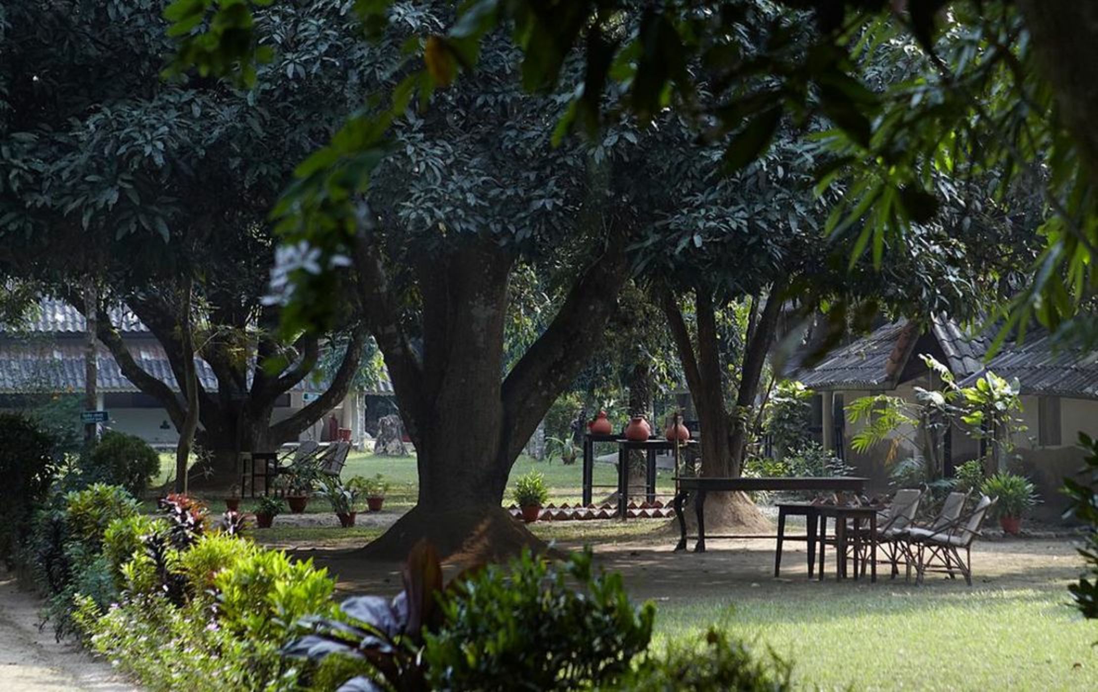 Tiger Tops Tharu Lodge