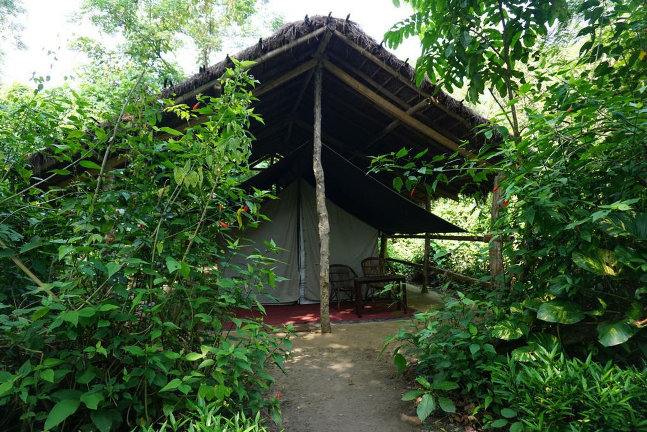 Tiger Tops Tharu Lodge