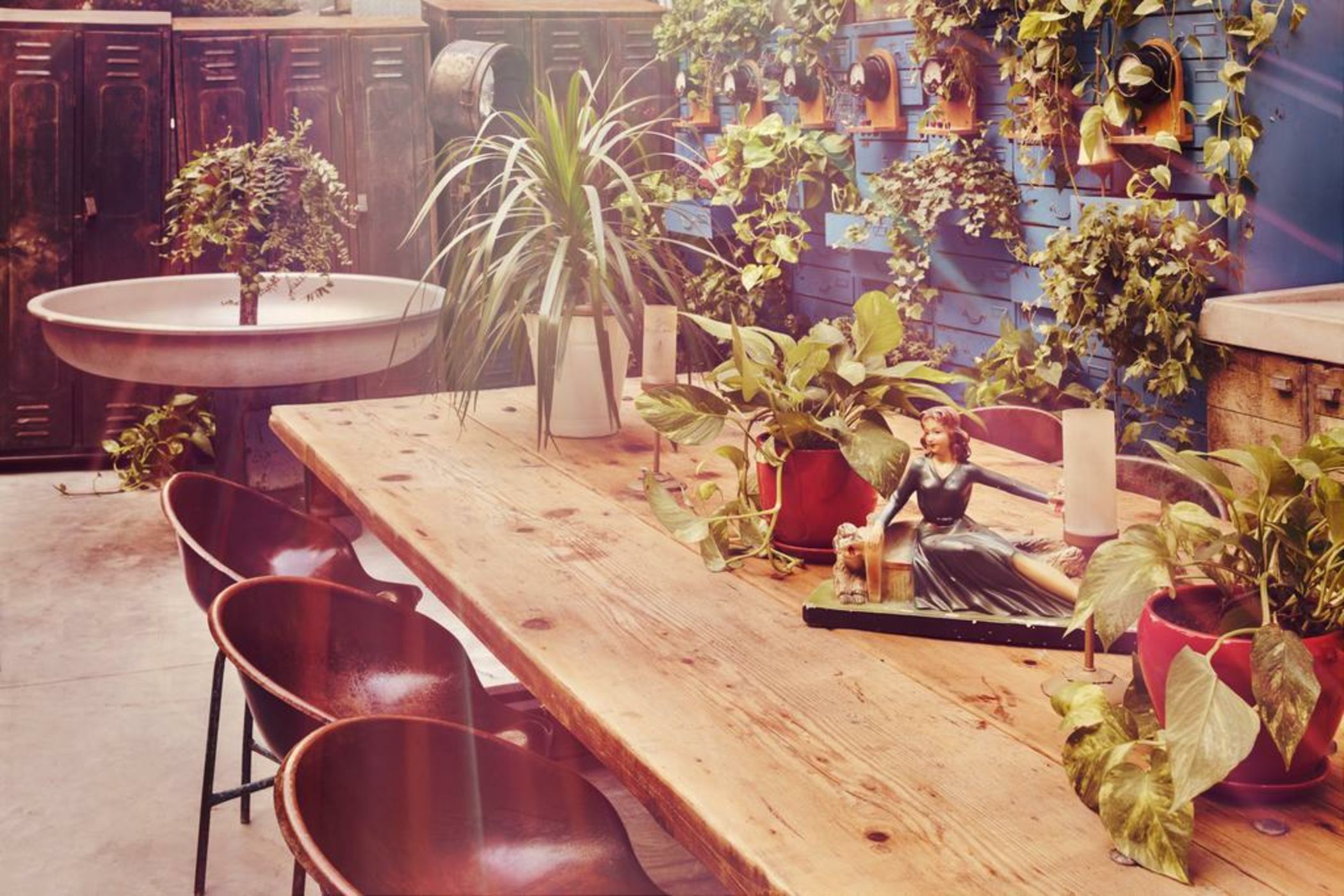 Dave Gordon - Son of a Brown