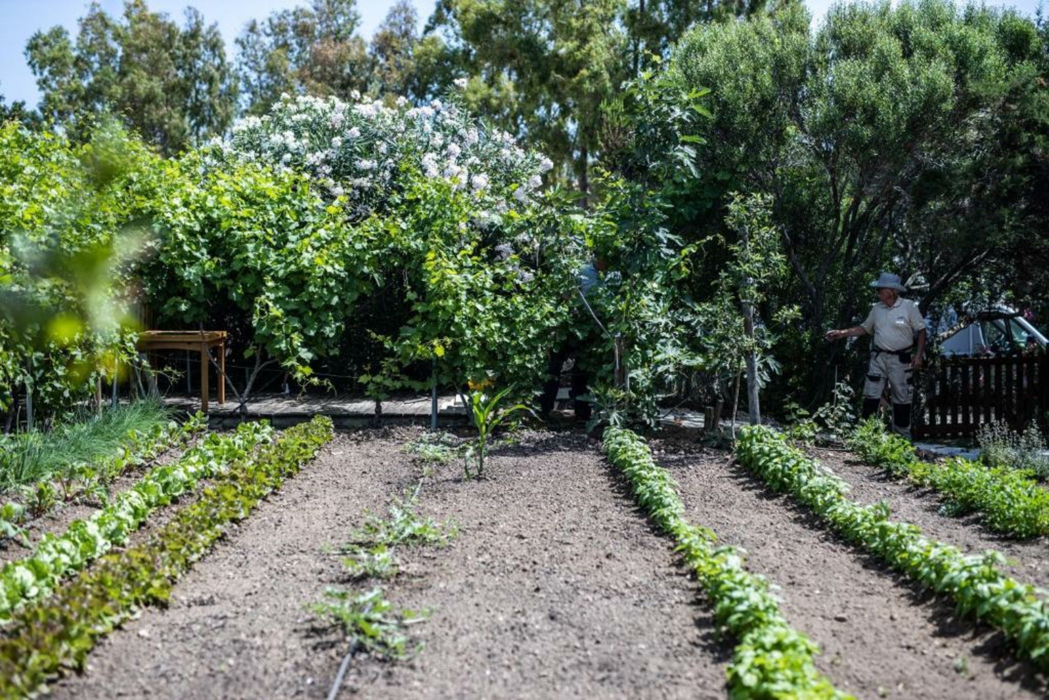 Hotel Cala di Volpe, a Luxury Collection Hotel, Costa Smeralda