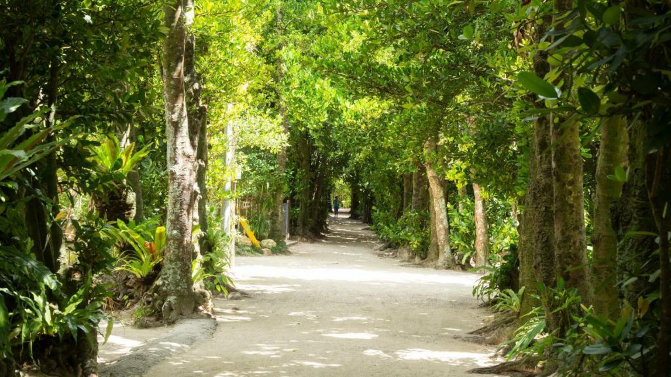 SHINMINKA Villa GUSHIKEN