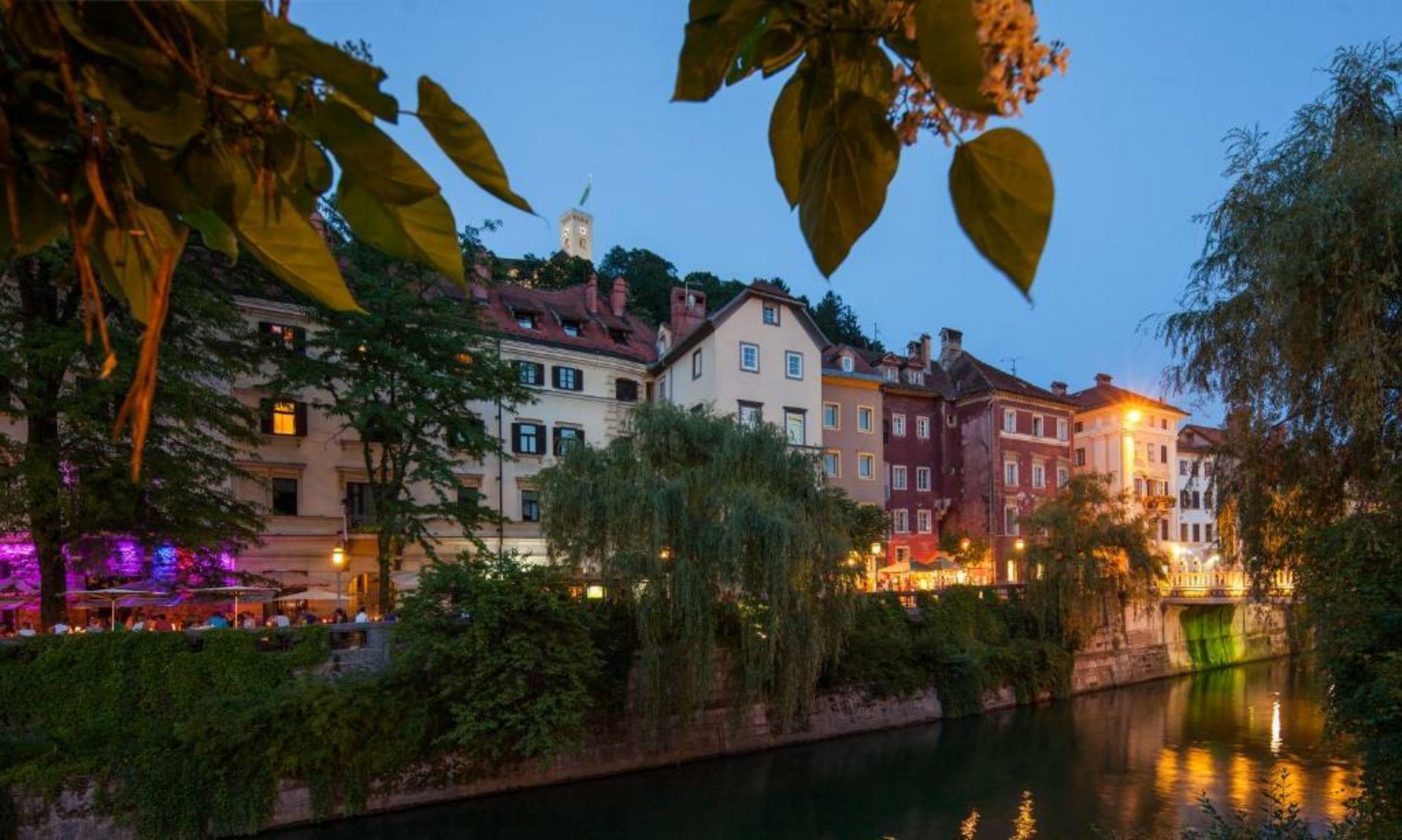 Kollmann Rooms and Apartments