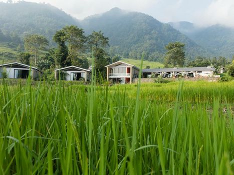 The Pavilions Himalayas The Farm