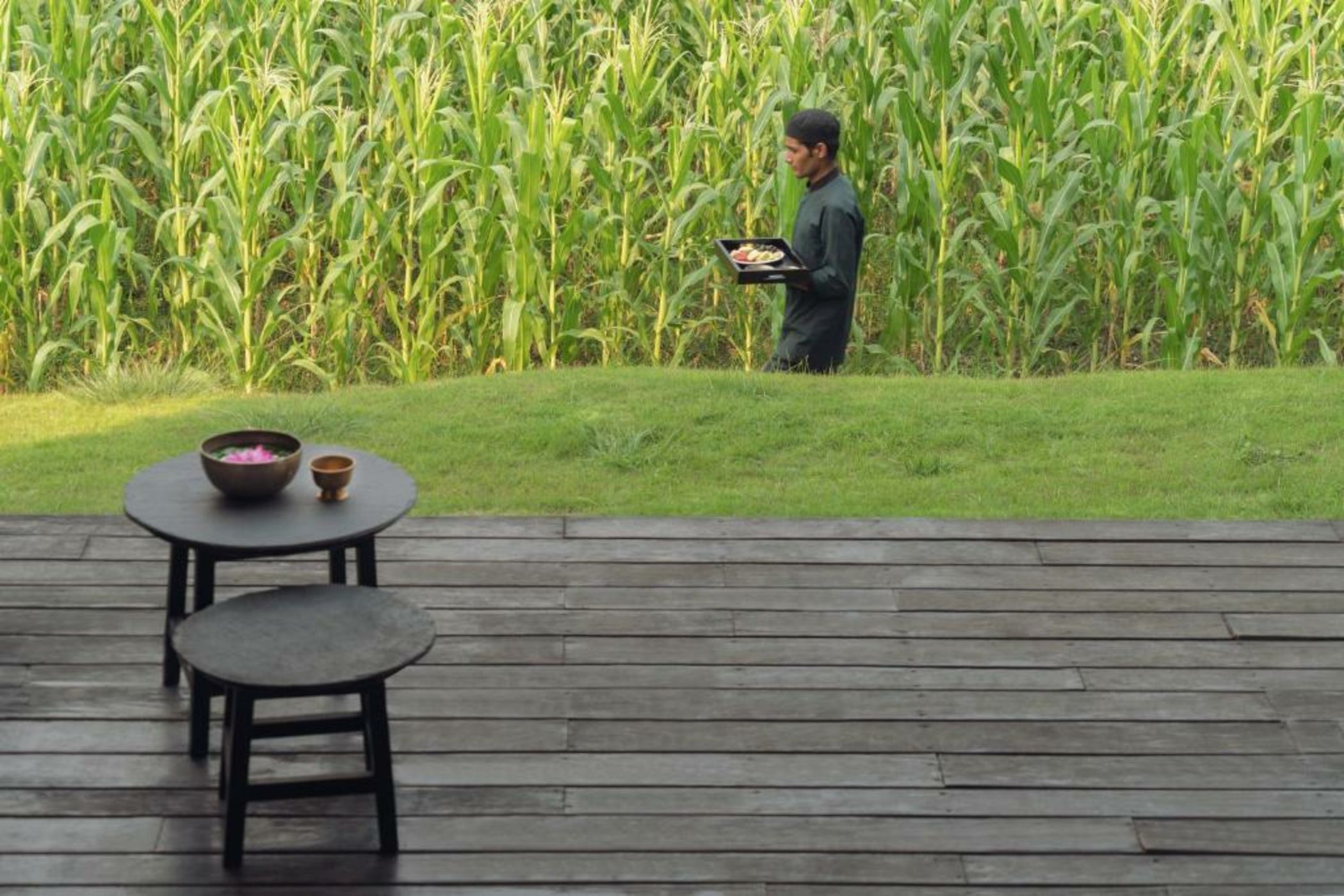 The Pavilions Himalayas The Farm