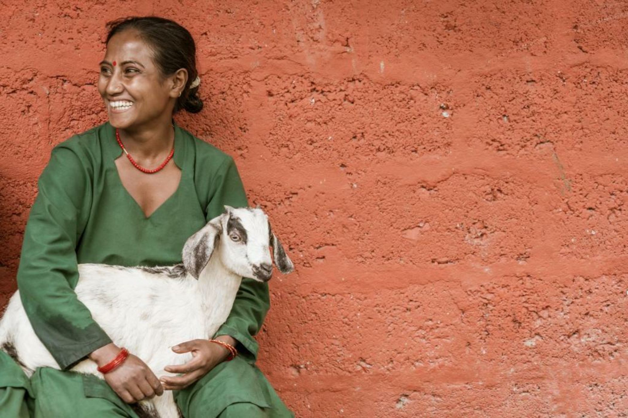 The Pavilions Himalayas The Farm