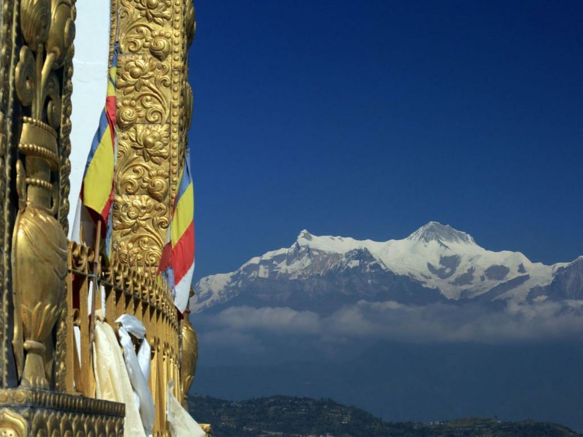 The Pavilions Himalayas The Farm