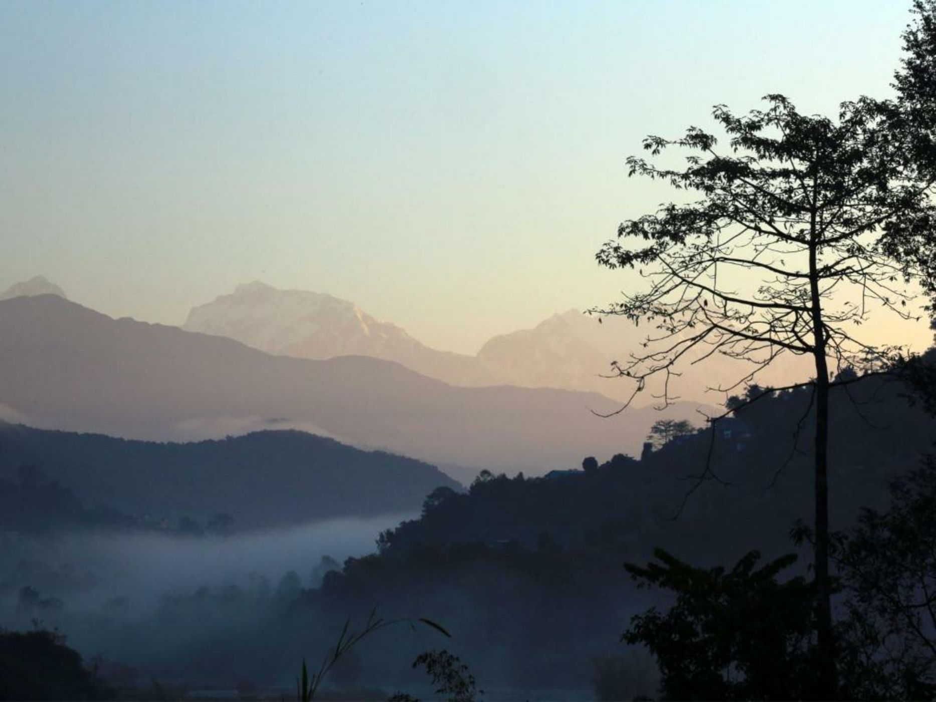 The Pavilions Himalayas The Farm