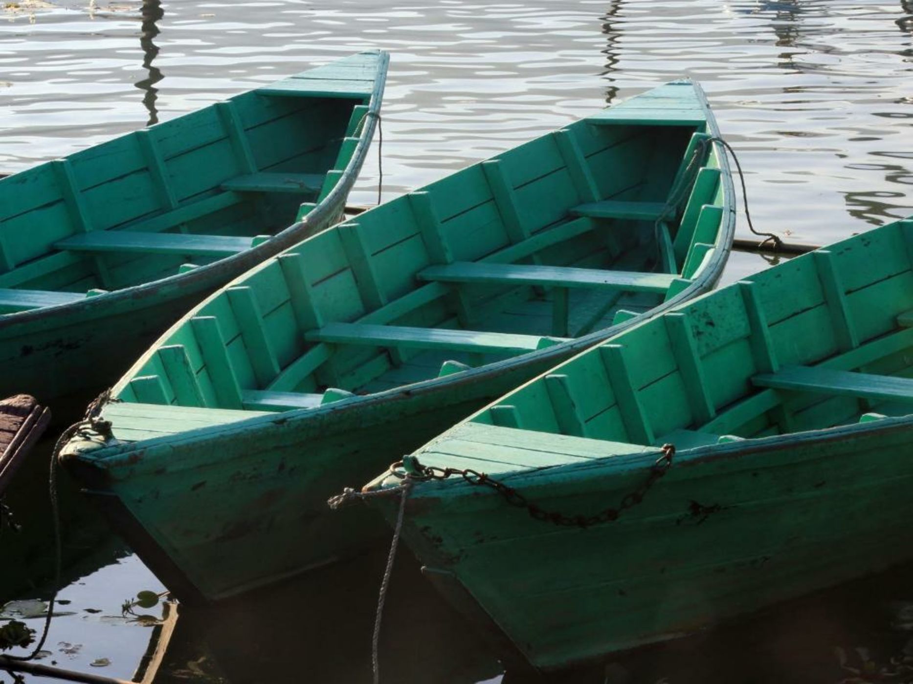 The Pavilions Himalayas The Farm