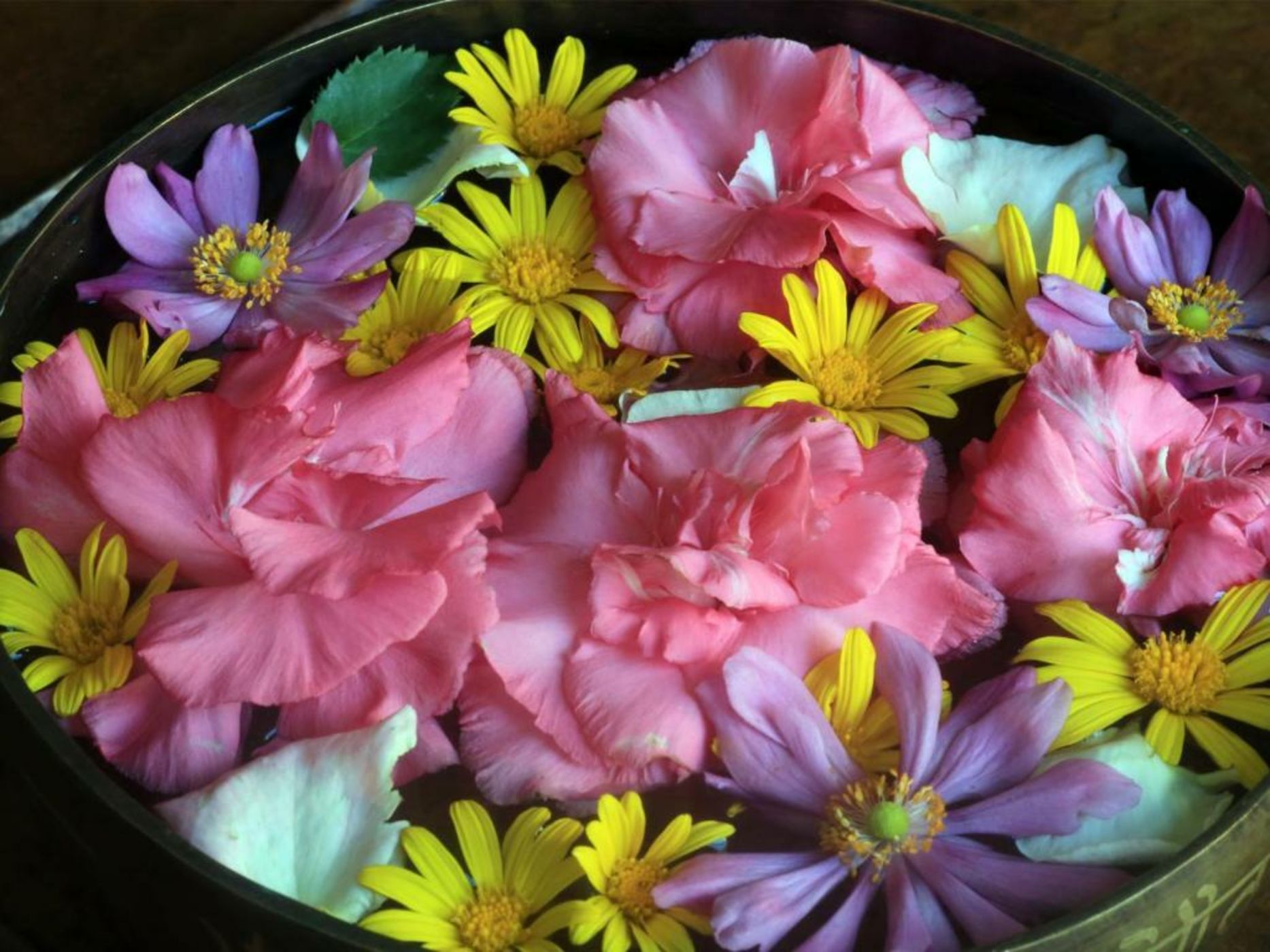 The Pavilions Himalayas The Farm