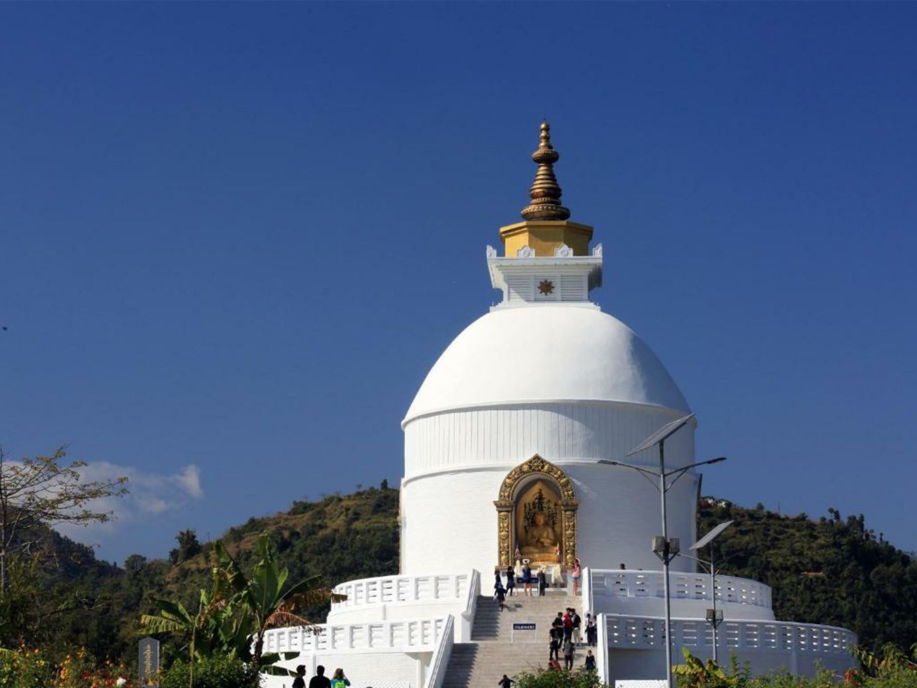 The Pavilions Himalayas The Farm