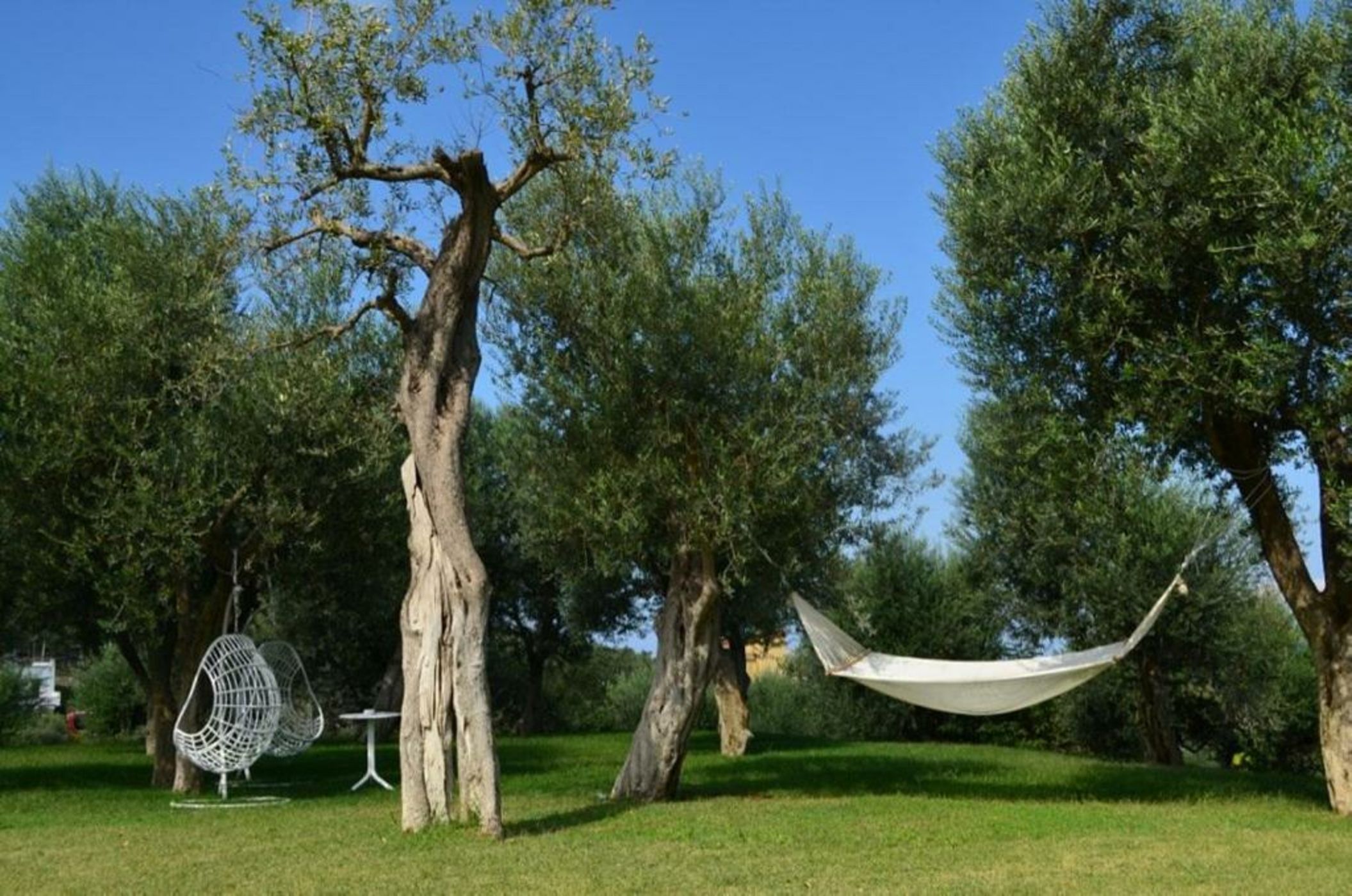 Anna Belle Elegant AgriResort