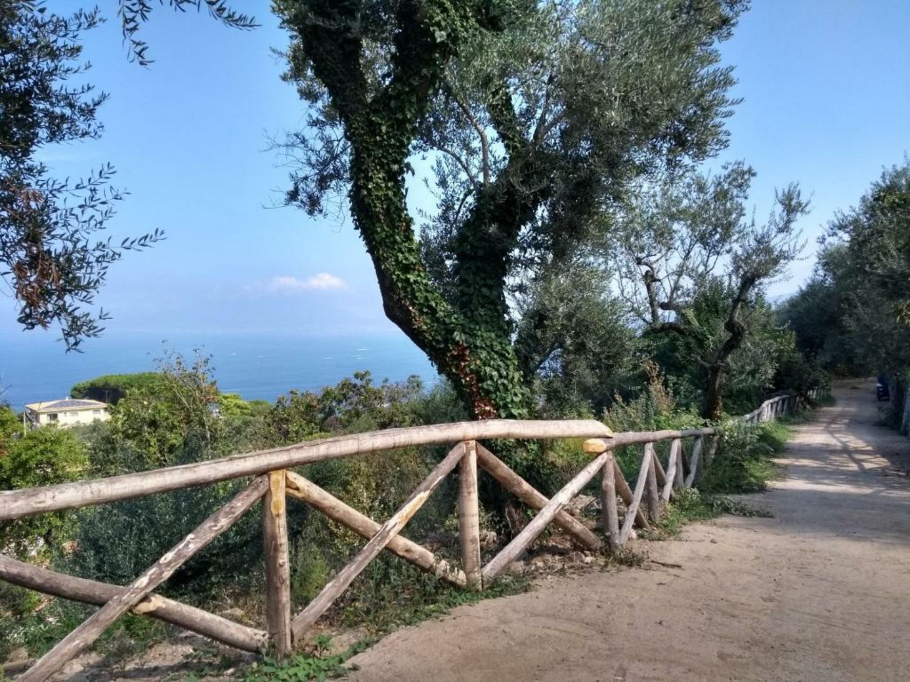 Anna Belle Elegant AgriResort