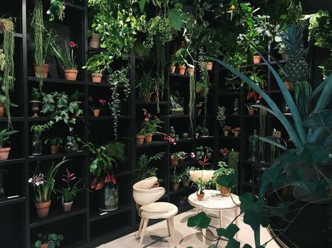 Jardin Secret