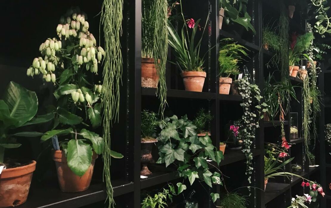 Jardin Secret, Bruxelles, Belgique - My Boutique hotel