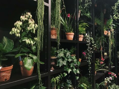 Jardin Secret