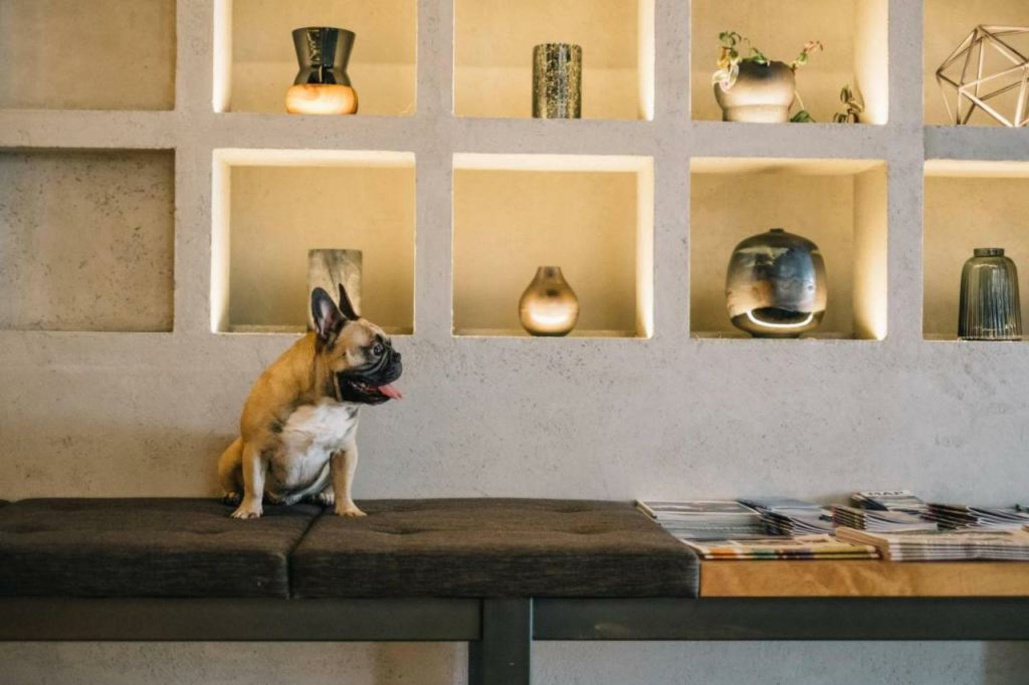 the DOUGLAS, Autograph Collection