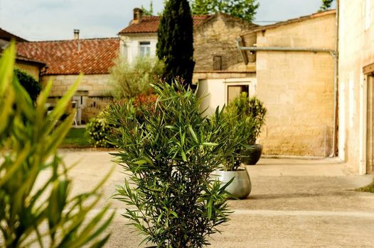 Chateau La Mothe du Barry