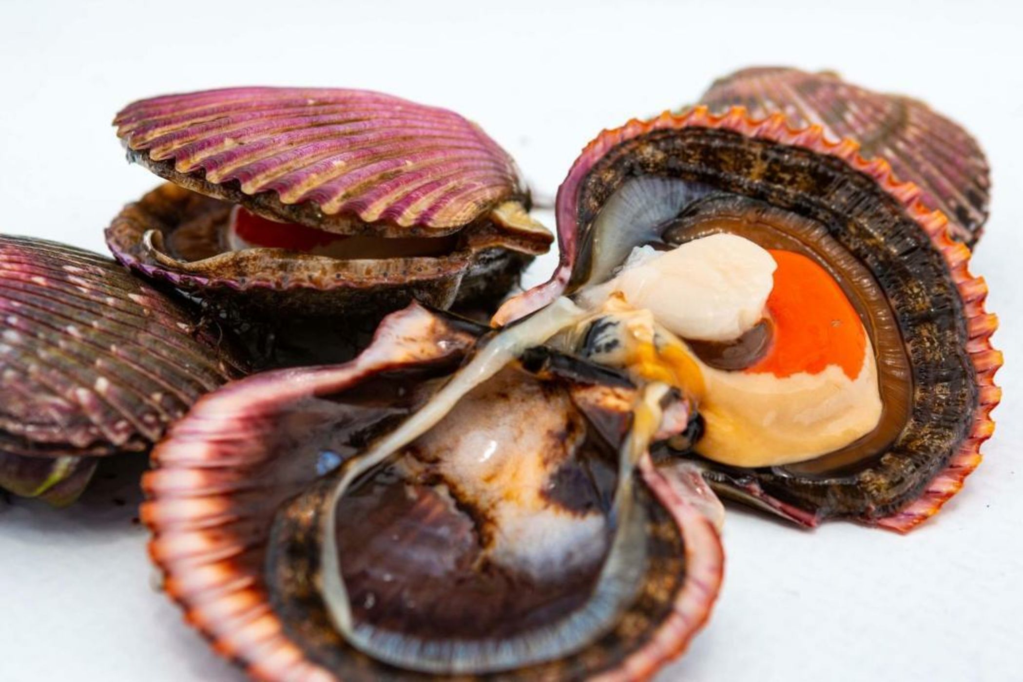 Hotel Paracas, a Luxury Collection Resort, Paracas