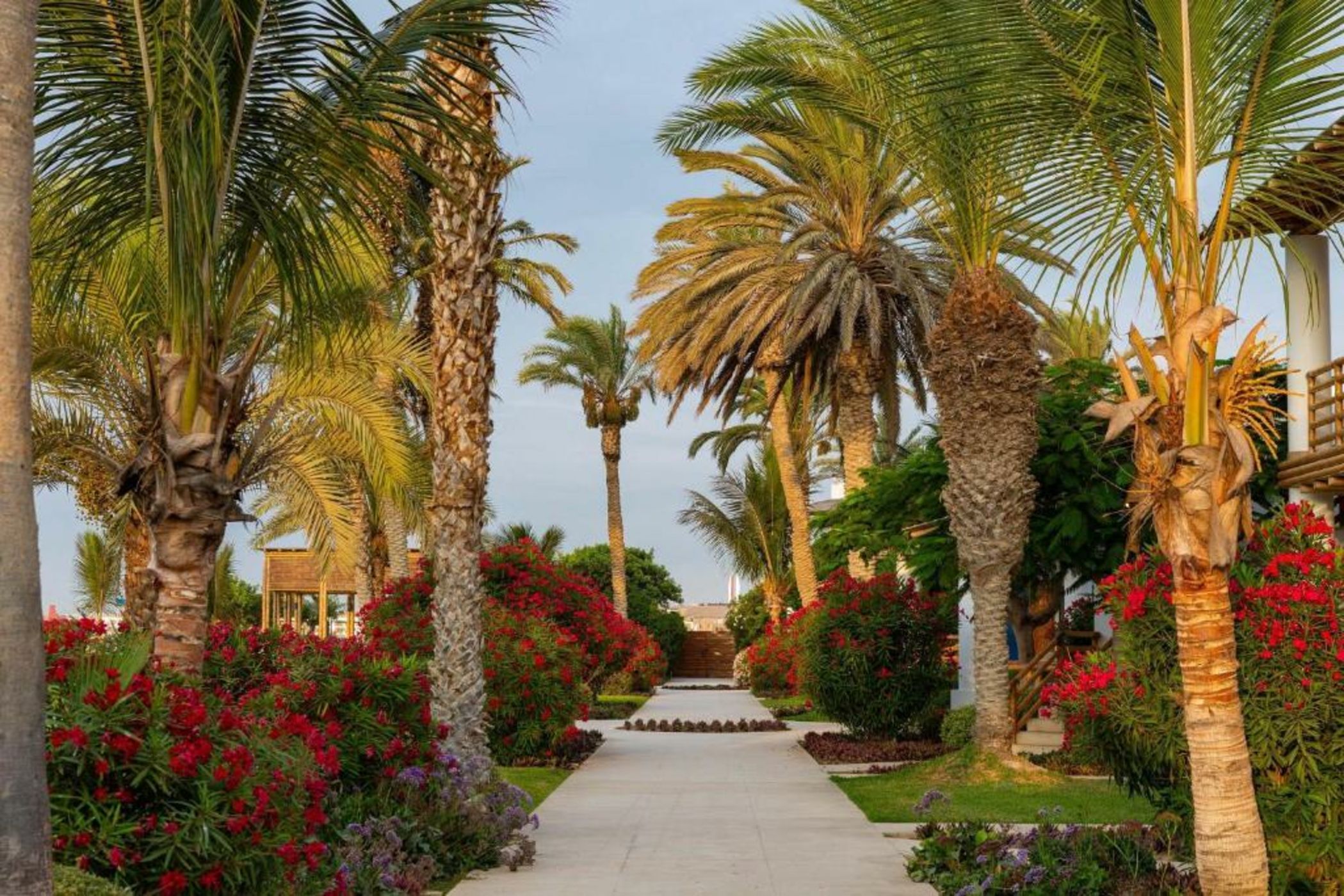 Hotel Paracas, a Luxury Collection Resort, Paracas