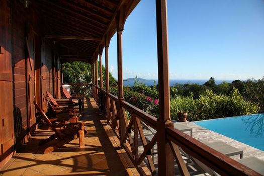 Jardin Malanga