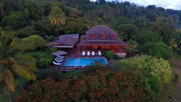Jardin Malanga