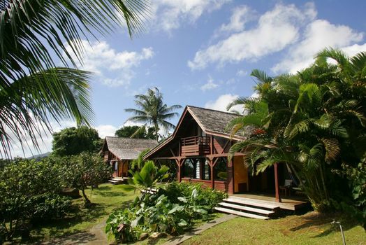 Jardin Malanga