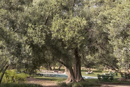 Berber Lodge Oumnas