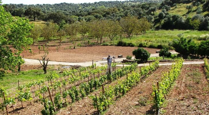 Horta da Moura