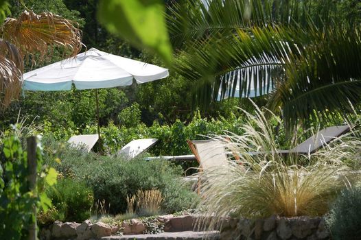 Finca Adalgisa
