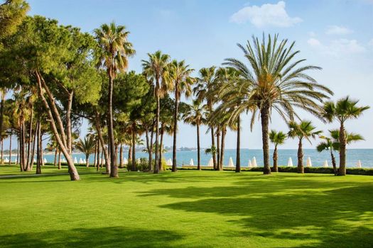 Acanthus & Cennet Barut Collection - Ultra All Inclusive