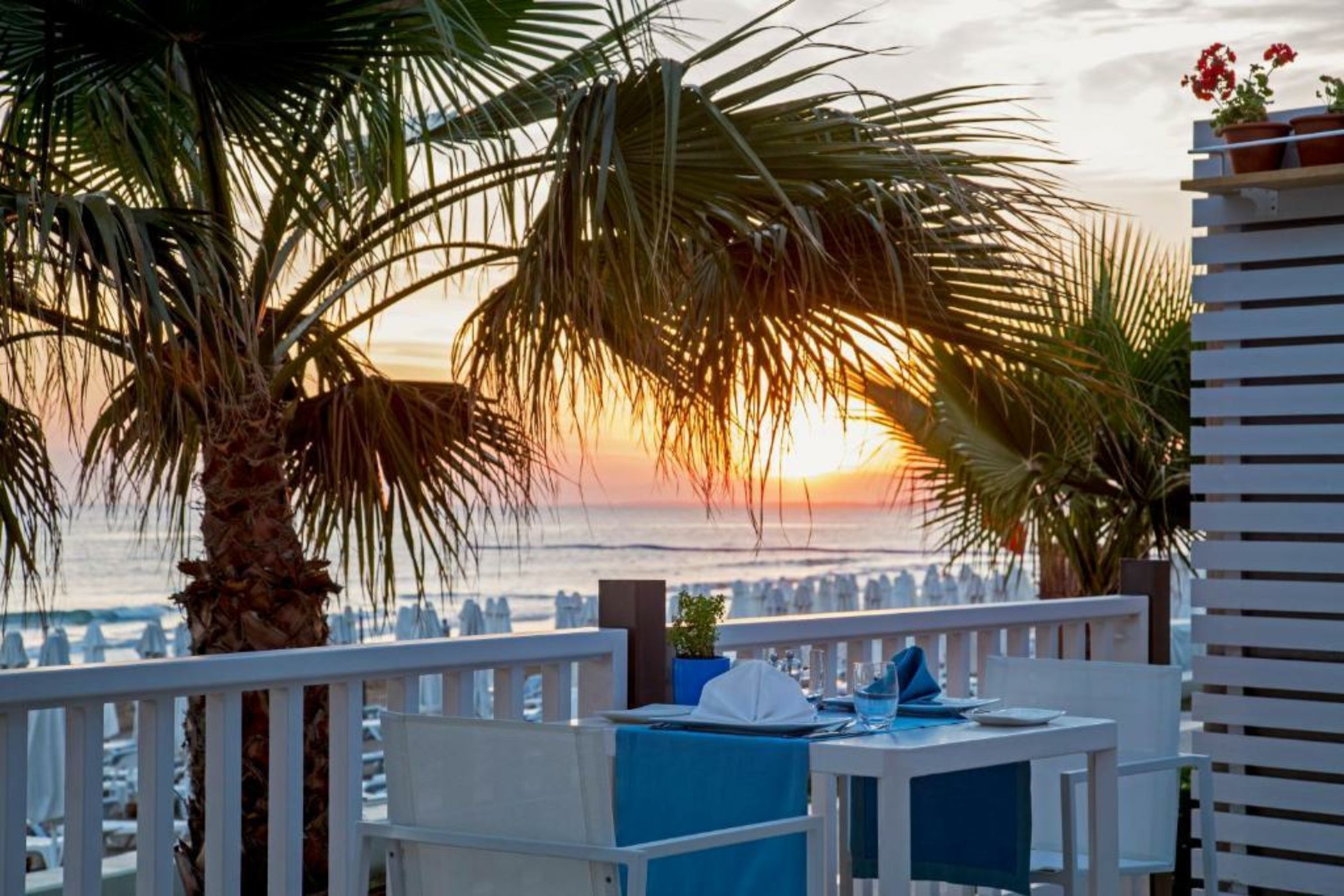 Acanthus & Cennet Barut Collection - Ultra All Inclusive