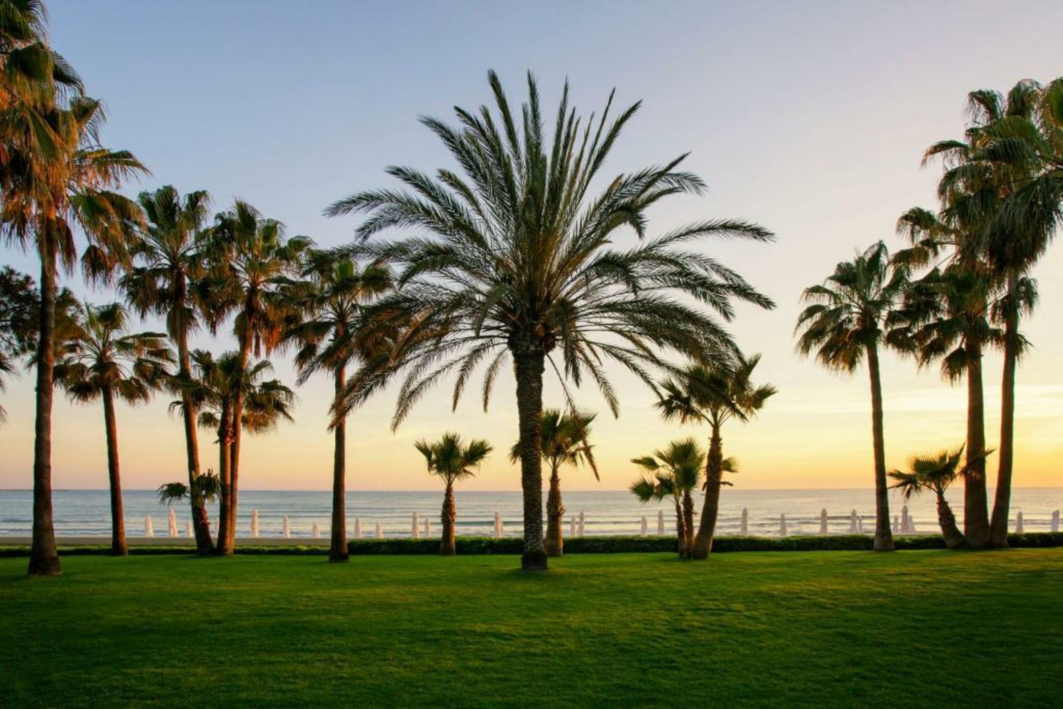 Acanthus & Cennet Barut Collection - Ultra All Inclusive