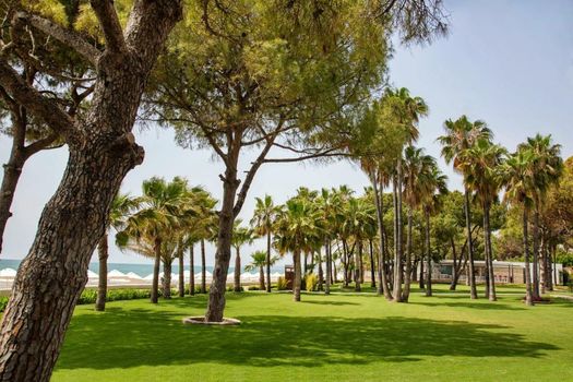 Acanthus & Cennet Barut Collection - Ultra All Inclusive
