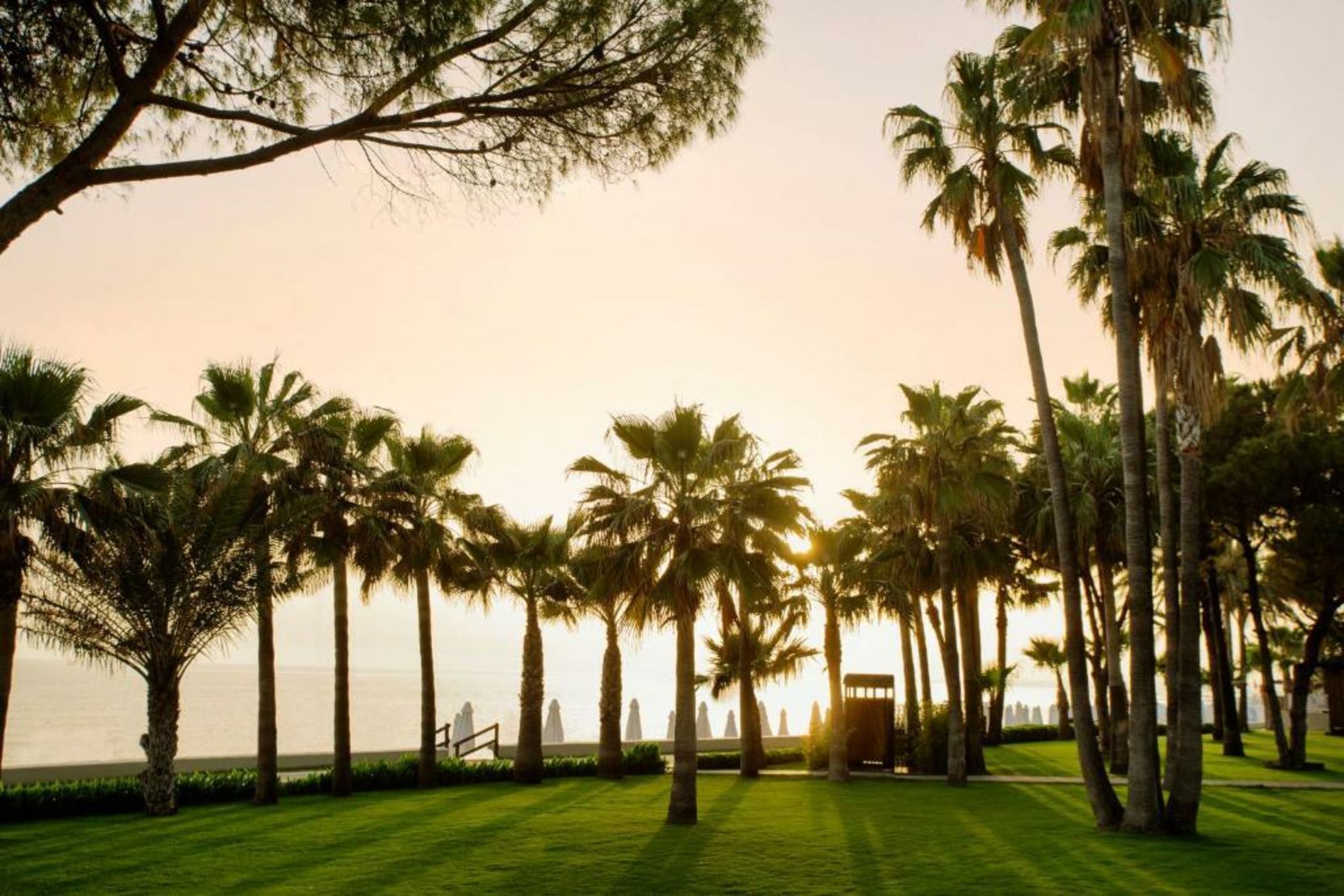 Acanthus & Cennet Barut Collection - Ultra All Inclusive