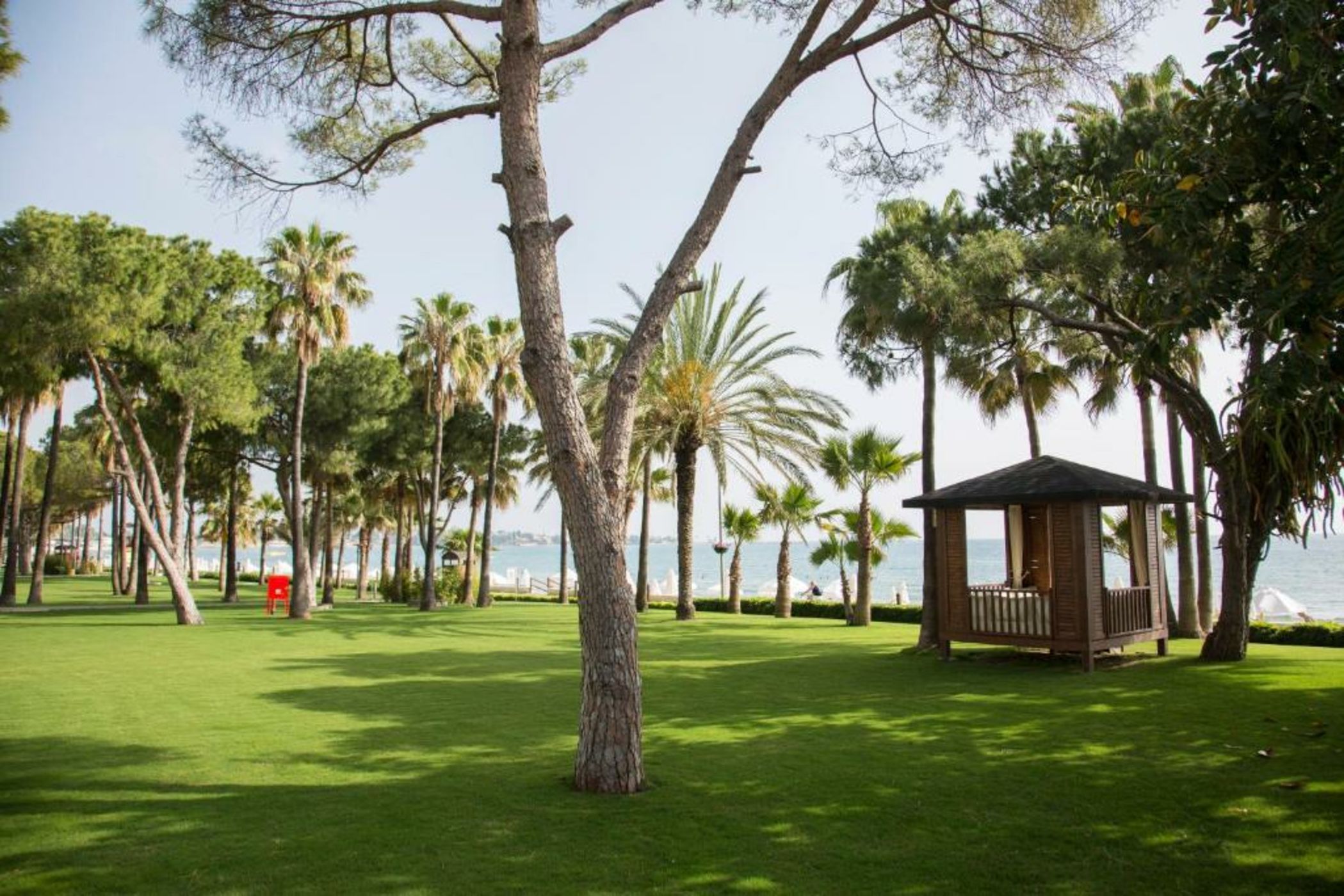 Acanthus & Cennet Barut Collection - Ultra All Inclusive