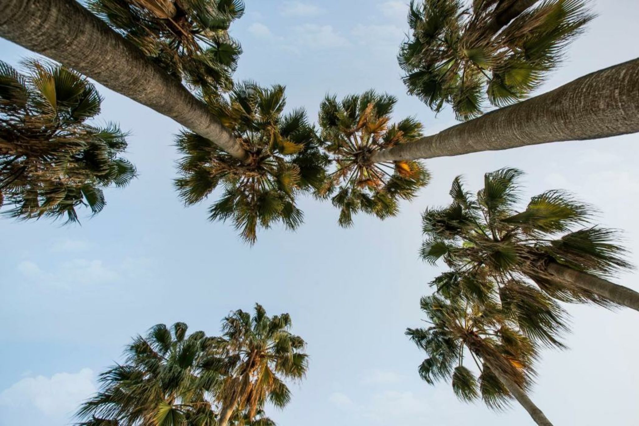 Acanthus & Cennet Barut Collection - Ultra All Inclusive