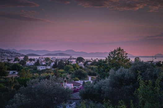 4reasons hotel + bistro | 12+