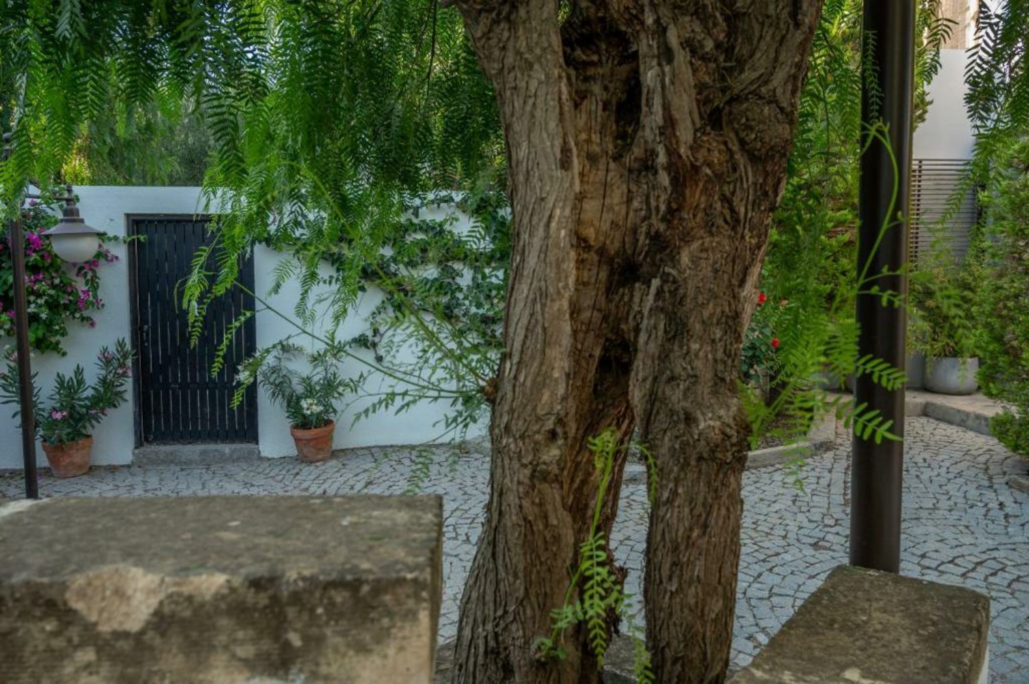 4reasons hotel + bistro | 12+