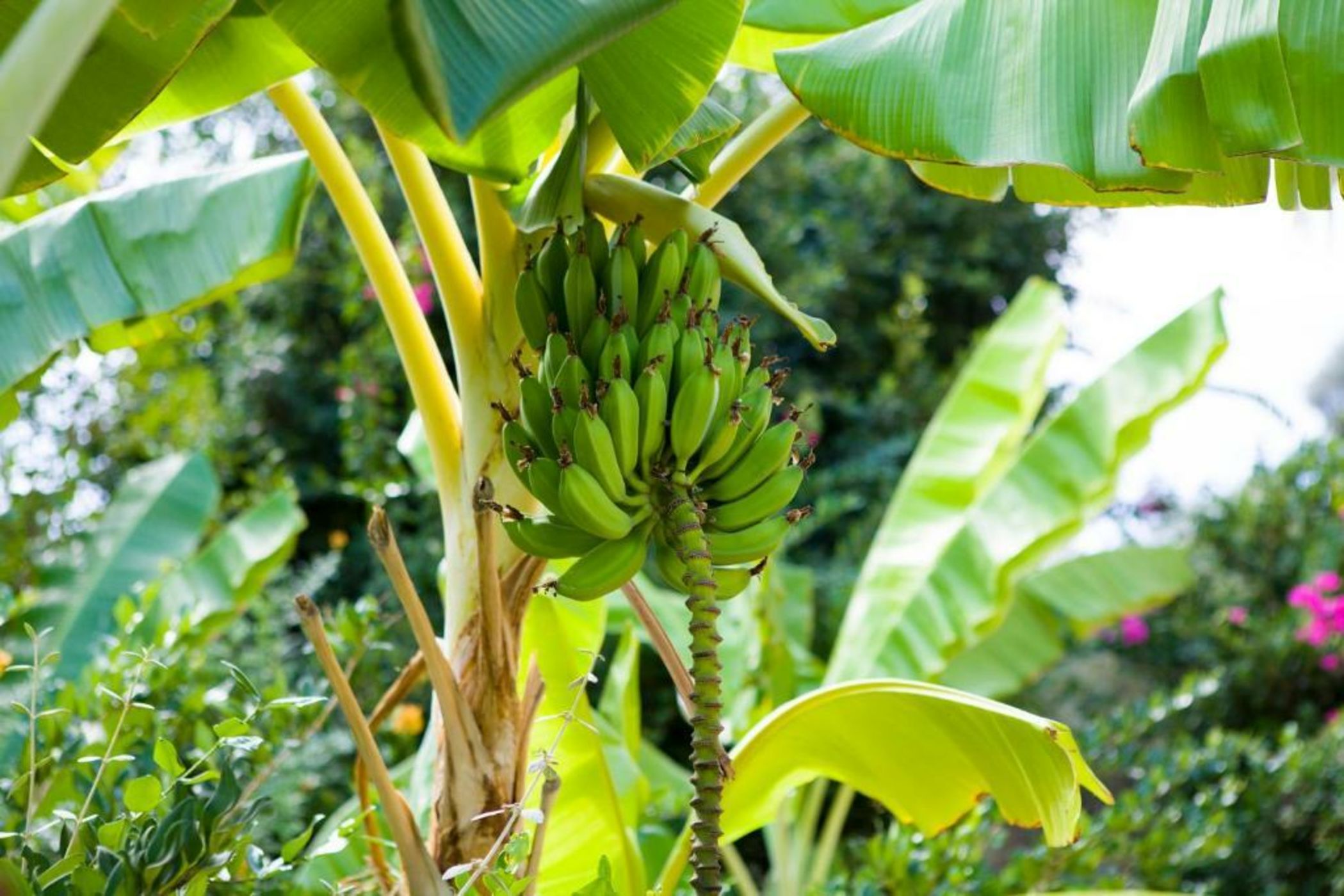 Spektr Boutique Hotel & Spa