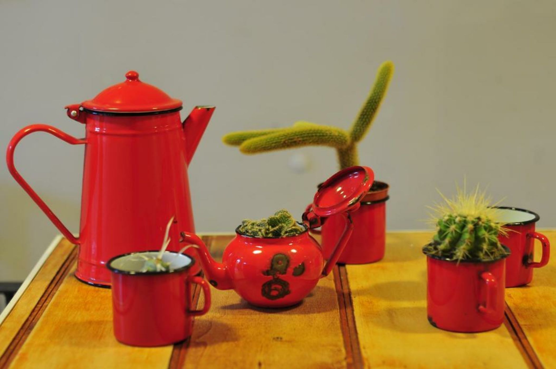 The Bellini House by House In Naples